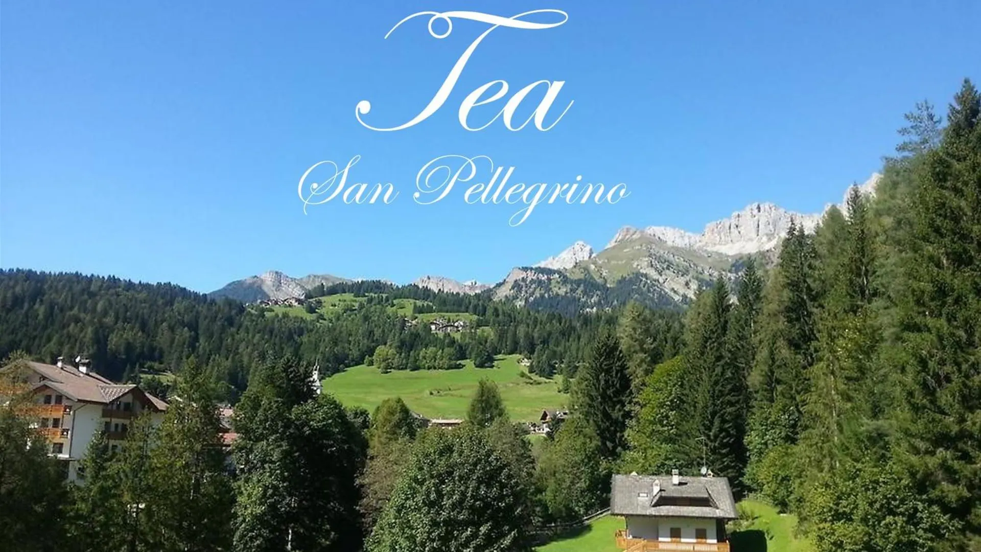 Tea San Pellegrino - Dolomiti Hotel Falcade Italy